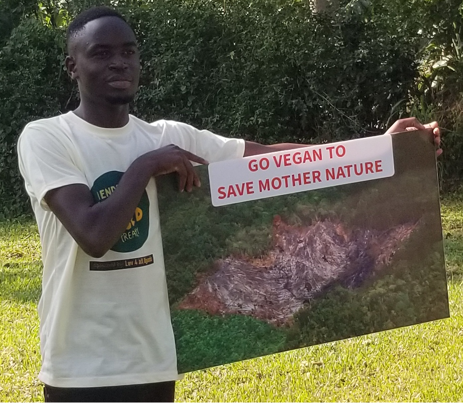 end the destruction of forests in Uganda
